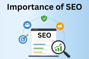 Importance of SEO: Why It Matters for Your Businesses