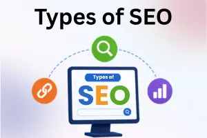 Types of SEO: A Simple Guide to Every Category for Beginners 