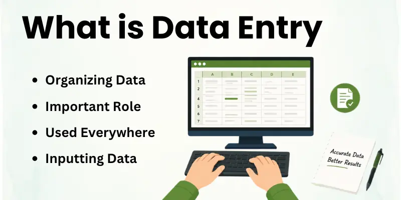 What is Data Entry